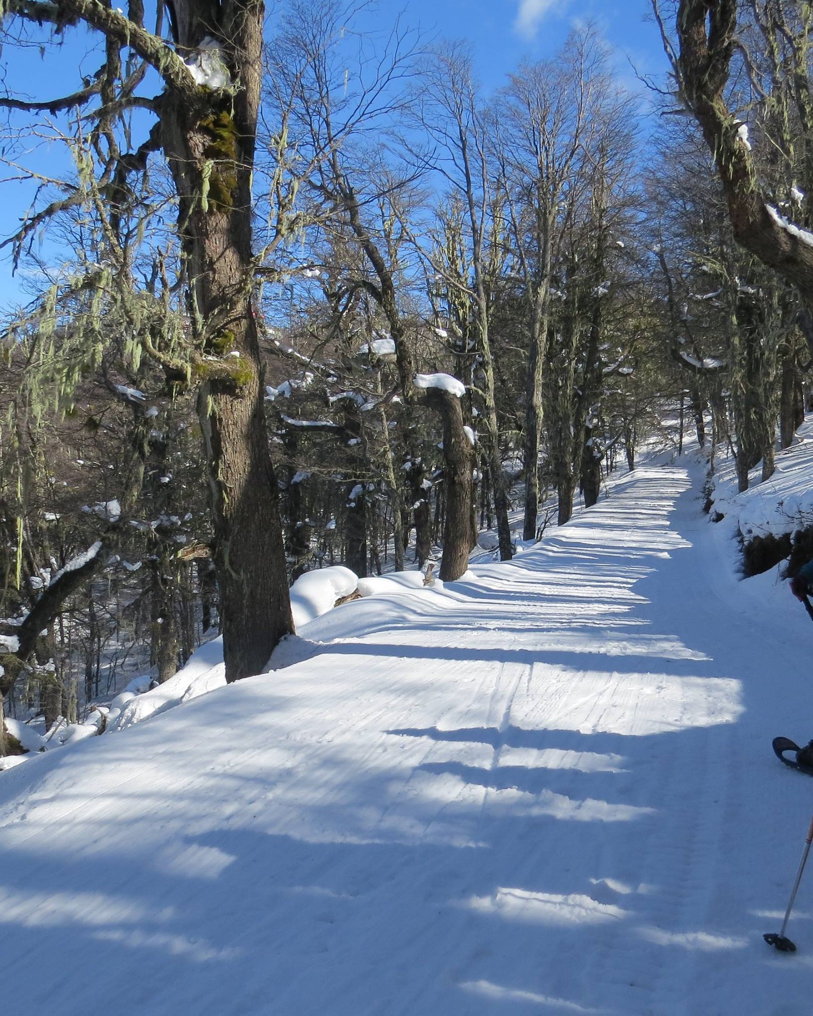 21686715_1198450200261180_2323386081124103060_o