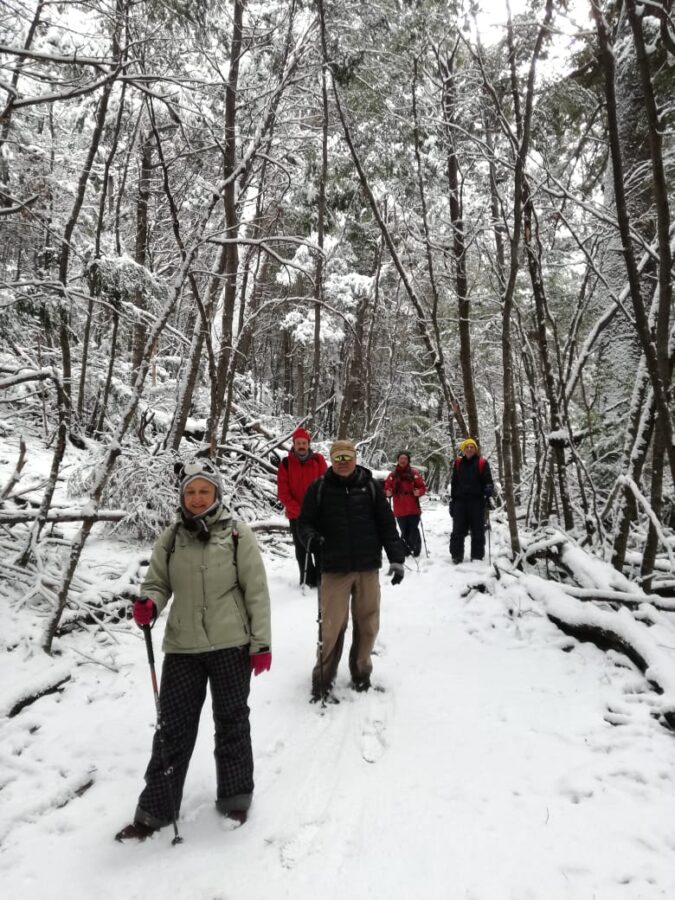 4e171ec9-5b27-4d66-af68-418692b6a899