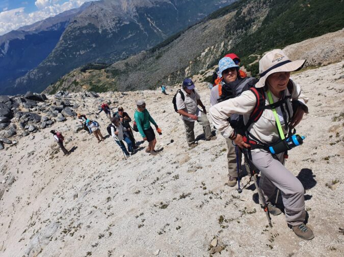 81e66012-3cc8-45bb-8dc7-805408e4e42f