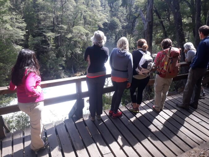 965c94f8-c6df-4e7e-939c-5134b5b180f3