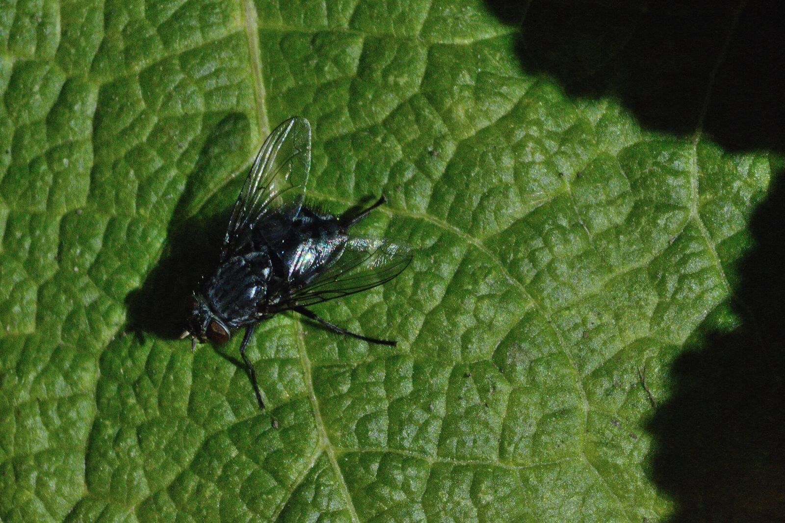 Agustin_Delmenico__DSC2523_151