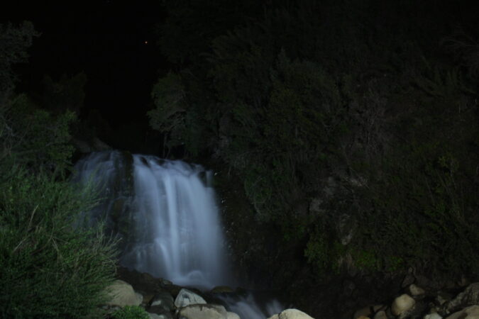 Daniela_Ribeiro_IMG_7951