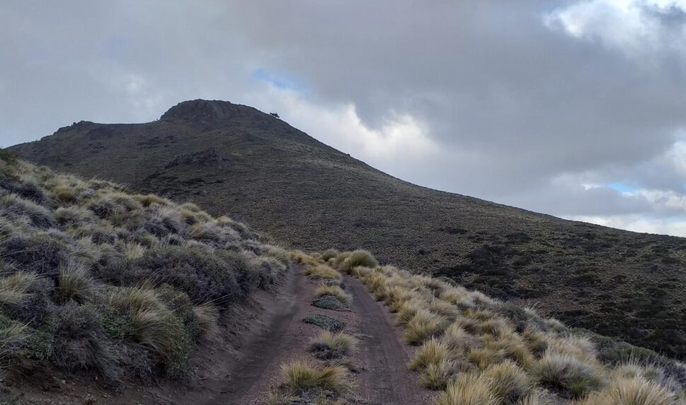 Cerro Pitún