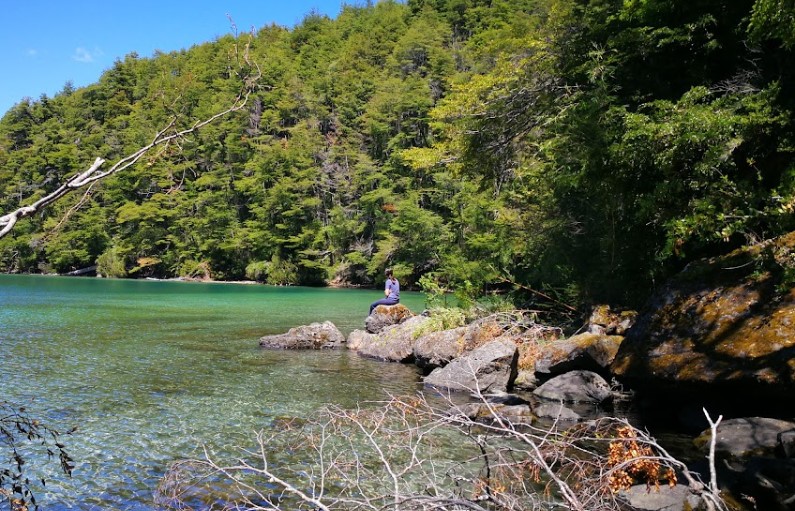 Brazo Ultima Esperanza
