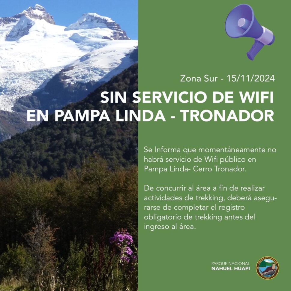 WhatsApp Image 2024-11-15 at 16.08.18