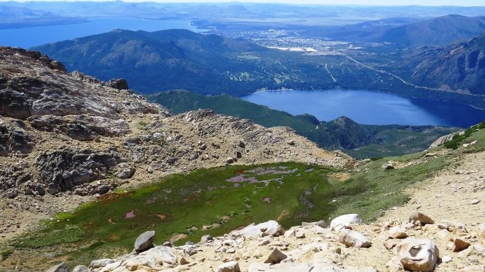 WhatsApp Image 2025-03-07 at 12.54.06