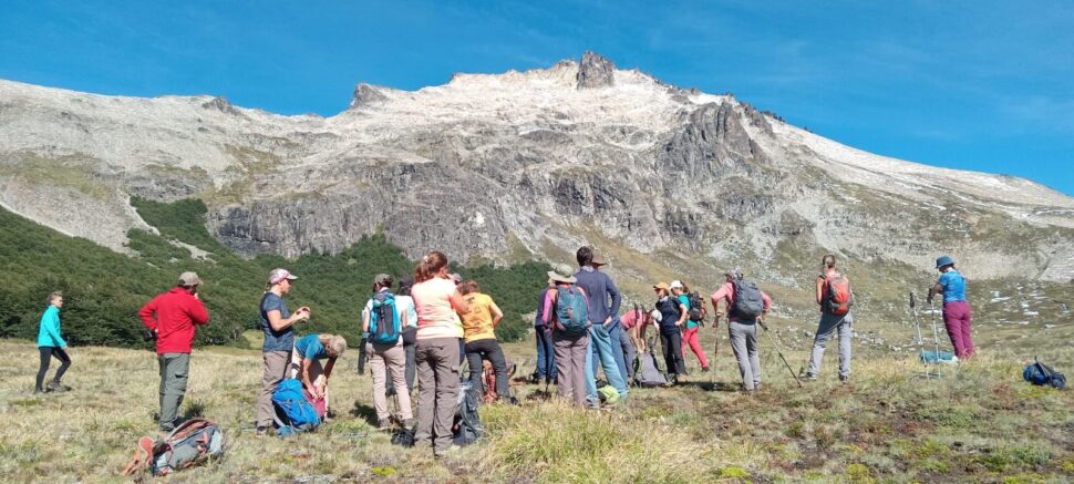 WhatsApp Image 2025-03-10 at 10.54.14