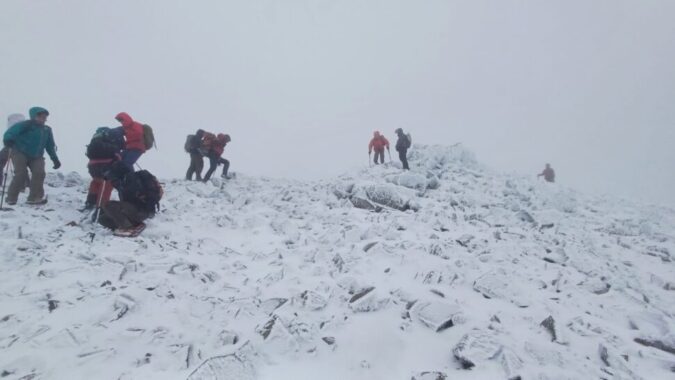 WhatsApp Image 2025-04-17 at 16.35.31