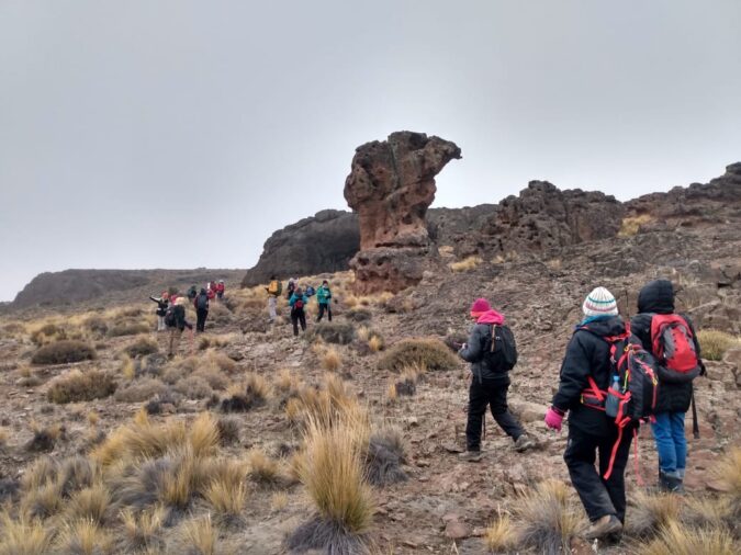 WhatsApp Image 2025-06-08 at 8.32.03 PM