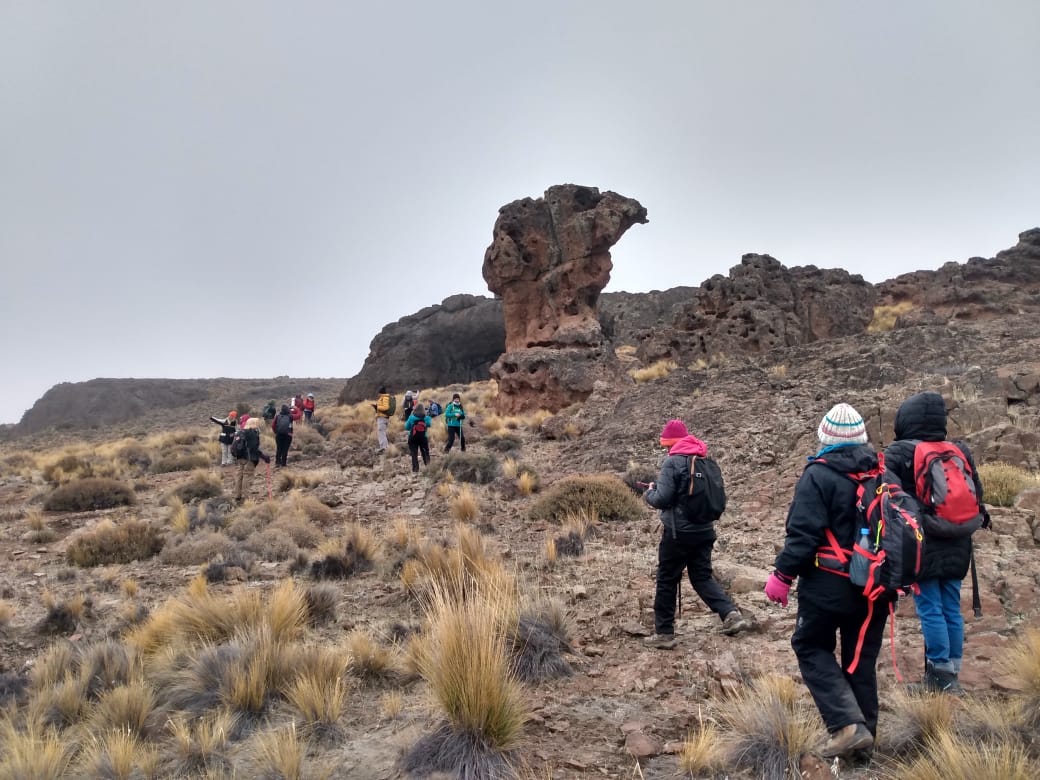 WhatsApp Image 2025-06-08 at 8.32.03 PM