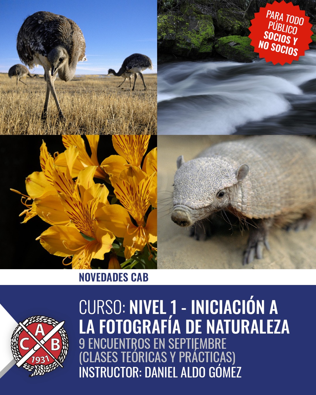 WhatsApp Image 2025-08-19 at 8.03.56 AM