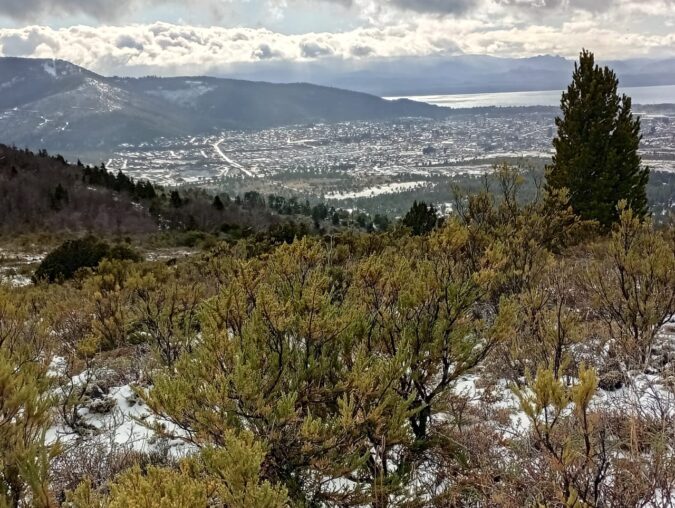 WhatsApp Image 2025-09-05 at 11.56.15 AM