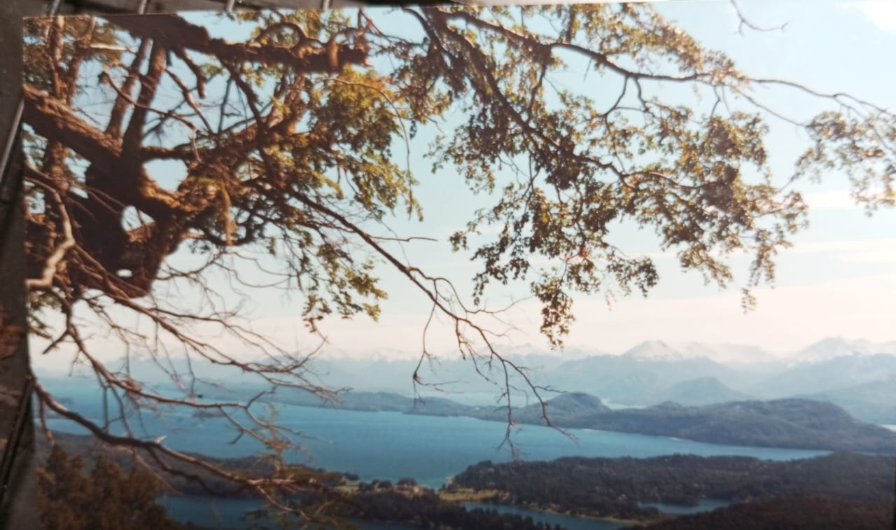 WhatsApp Image 2025-12-16 at 3.14.43 PM