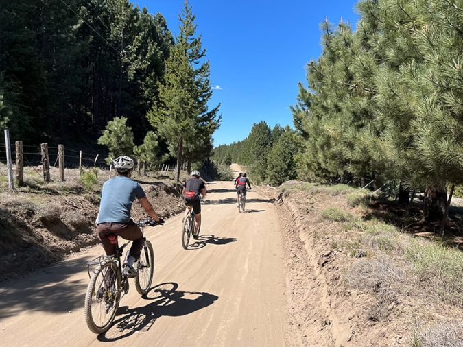 MTB Adultos